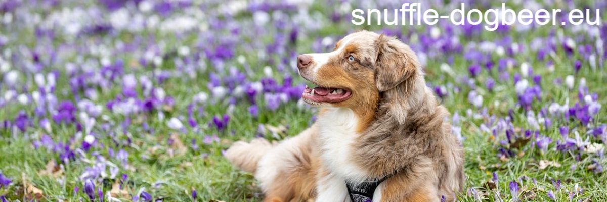 snuffle-dogbeer.eu
